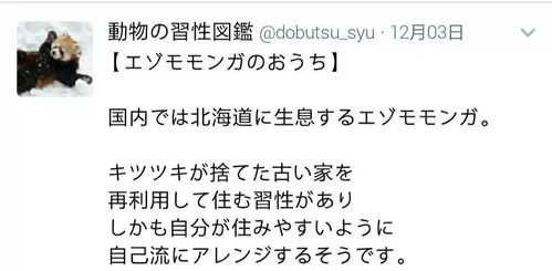 三、 算法局限性：人为判断不可替代的核心价值
