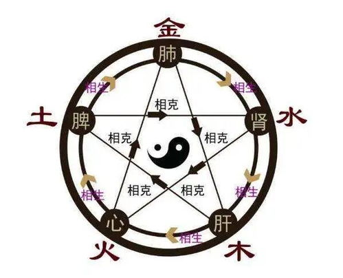 3. 五行调理