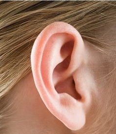 二、  案例实证：张先生的稳健理财路径与行为实证探究