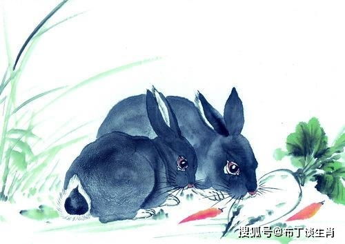 善者有求必应，来去自如不讨功的动物指的是什么生肖？