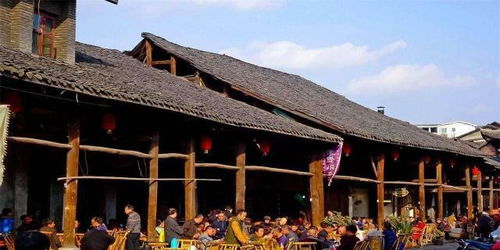 ① 老年人爷爷奶奶们：免费+半价， 笑到肚子疼
