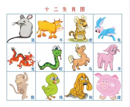 蛇精病和鸡婆最配？