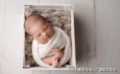 依据生肖特征起名的重要性
