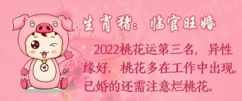 四、 婚姻运势与可能面临之危机