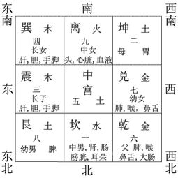 1. 玄空飞星与“九紫夺柄”