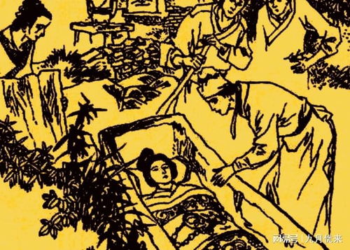探究背景与问题提出