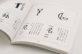 二、  生肖宜用字解析