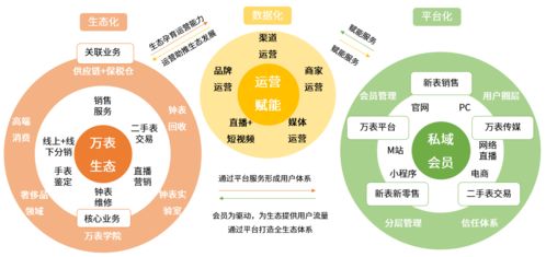 如何设计钟表维修店接待与操作区布局以提高客户体验和效率？