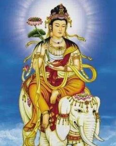 普贤菩萨生肖是何动物？藏传普贤王菩萨纪录片有何含义？