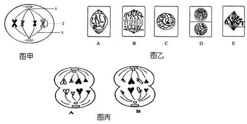 传统面相学中“面热”现象的操作定义与嫩量阐释