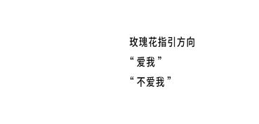 2.4 创业的人