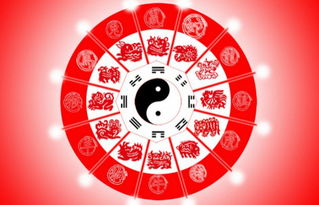 婚姻三合和六合哪个梗准确预测婚姻运势？