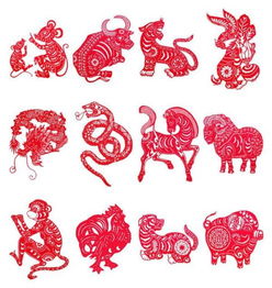 十二生肖年份中，哪个字代表我的生肖？一年十二生肖分别指什么？