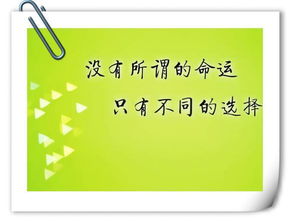 四、  命运的可能性：从胎元看后天努力的主体性建构