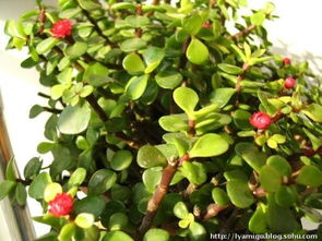 3. 人际关系和谐