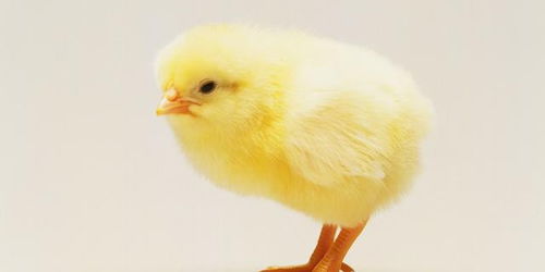 2. 爱就要爱全部