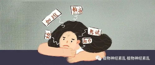 探索事件的起因