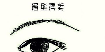 第三：眉毛的作用不能忽视。