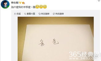 避雷指南：哪些类型的网名千万别碰