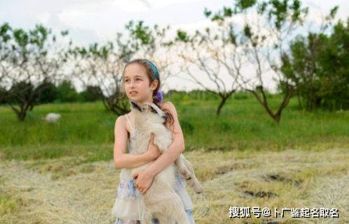 3. 洛清：清澈纯洁的内心