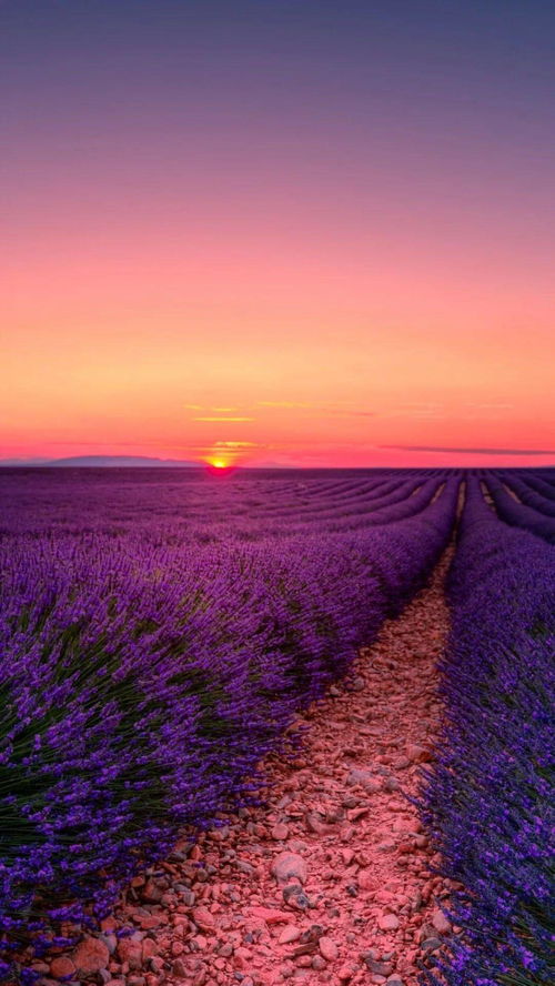 2026年六月动土吉日和动土良辰吉日分别是哪一天？