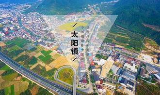 真实案例：一次家庭定制之旅的蜕变