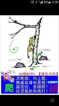 生肖与星座视角下的“等”：不同性格的准备策略