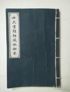 请问十六字阴阳风水秘术具体是哪十六字？