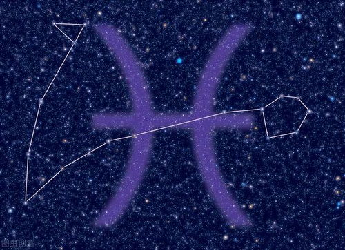 星座命理学视角下的女性群体气质与运势解析：从