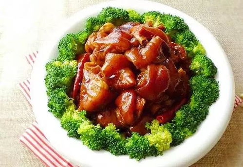 第三章：空间范围能量布局与生活美学的风水考量