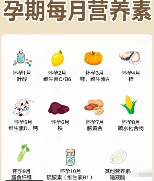 2. 智慧与机敏并存