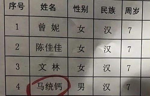 如何为马儿挑选一个既吉祥又独特的好名字呢？