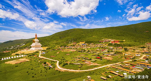 贺兰山：不只是“屏障”，  是“自然博物馆”