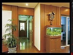 招财风水的核心：门前布局