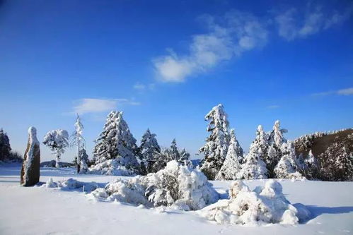 三、 神农架雪景：森林里的白色童话