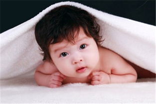 2. 音韵搭配要和谐