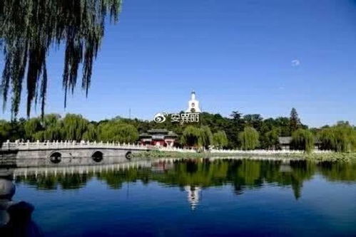 #北海公园# ——赏花、划船、喂鸽子三合一套餐。