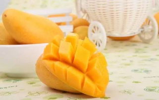 一、 研究背景与意义