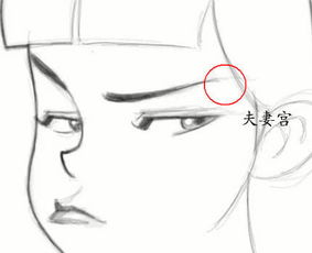 眉毛尾端散乱并且较较短