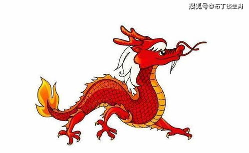 属龙的人在哪一年会刑太岁，需要改换生肖旺运手机号吗？