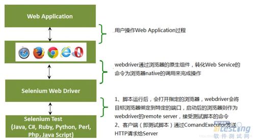五、 综合评估框架的构建与应用策略