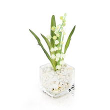 三、 住宅风水与和谐共生：植物与家居装饰的布局