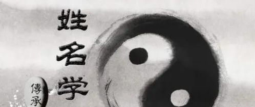 六、 偏旁部首与人格特质的对应规律