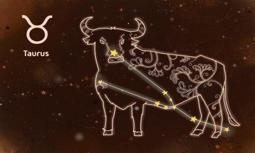 2026年金牛座属蛇全年运势详解，属蛇的2026年运势第一星座网是哪个网站？