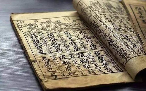 六、 结合性格特点和家族渊源