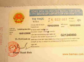 一、越南签证类型大揭秘——别再糊弄自己了！🤪