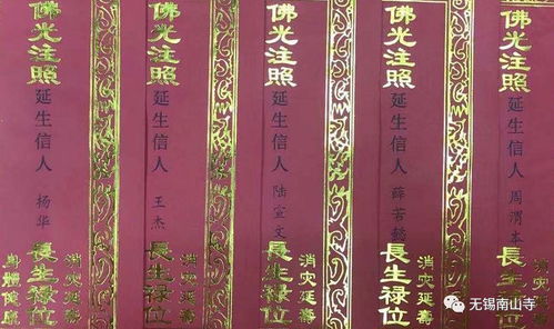 十一月二十三日出生的人有什么特别的性格特点吗？