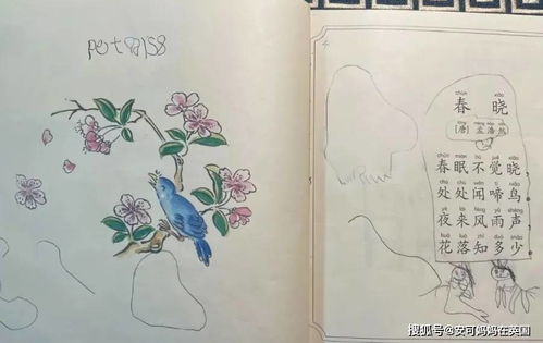 独特而吉利的蛇年宝宝名字较大全