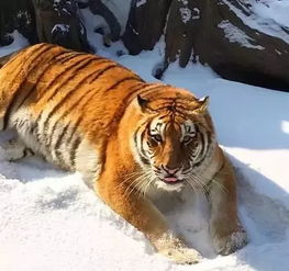 杭州：创意之都