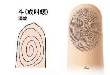 手相中六个螺四个簸箕分别代表什么含义？